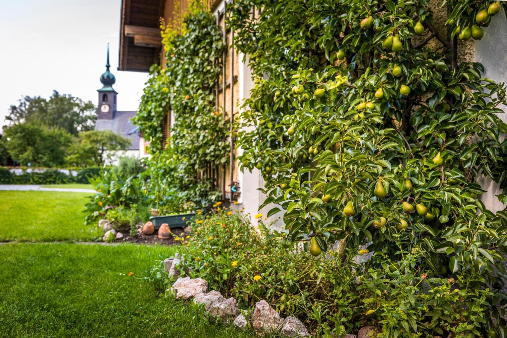 Landhaus Appartement Seidenwebergut Anif Bei Salzburg Niederalm Eksteriør bilde